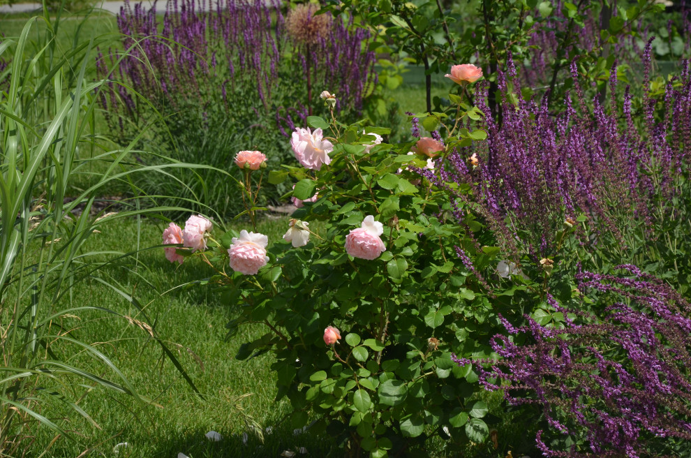 Мягкий и пушистый