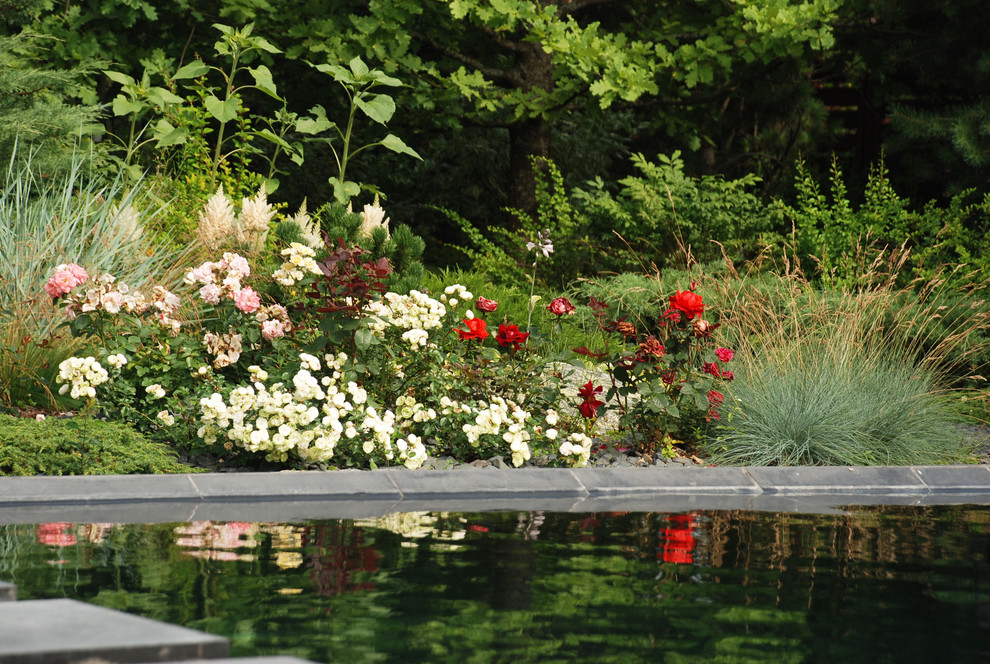 Современный сад в КП "Променад"
