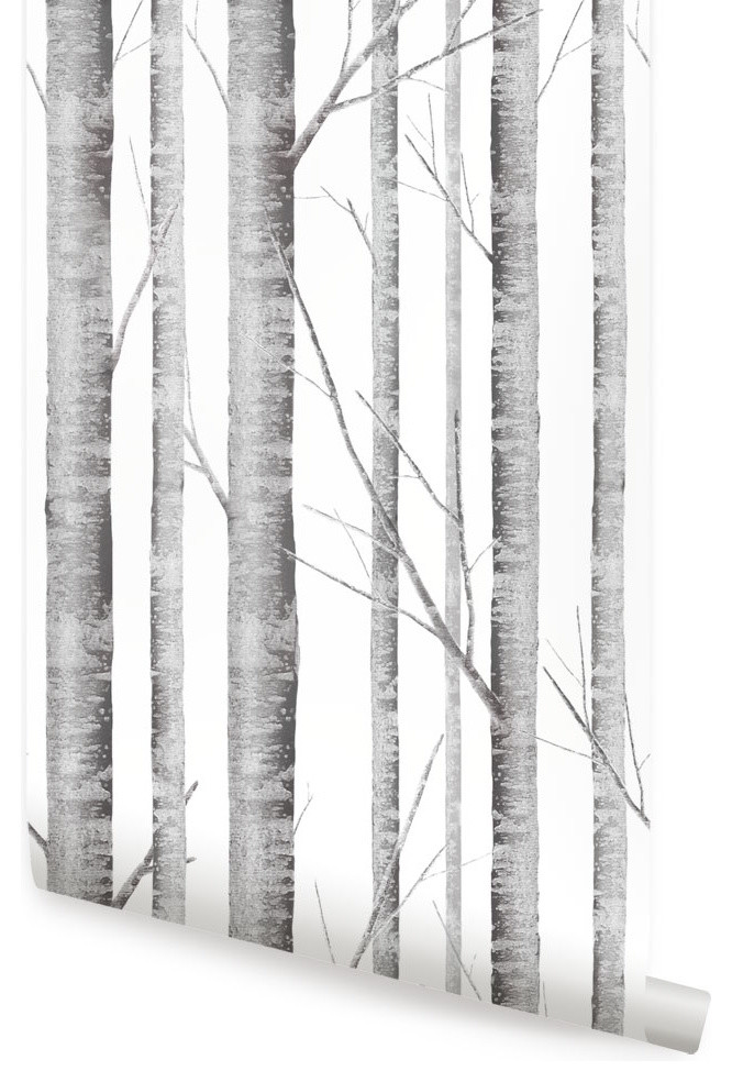 Birch Tree Peel and Stick Vinyl Wallpaper, 24" X 60" Contemporary