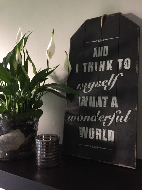 Så kan dina växter få dig att må bättre