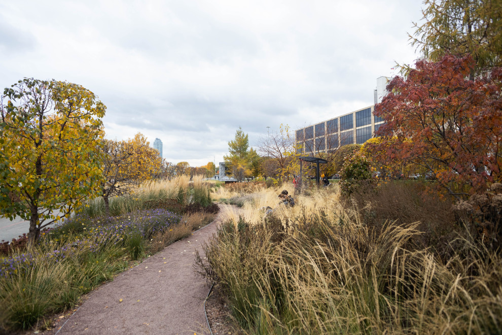 Сад трав+ Ботаник