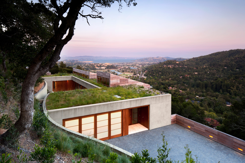 This is an example of a contemporary exterior in San Francisco with a green roof.