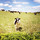 webuser_29252327
