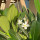 Last commented by shrn md