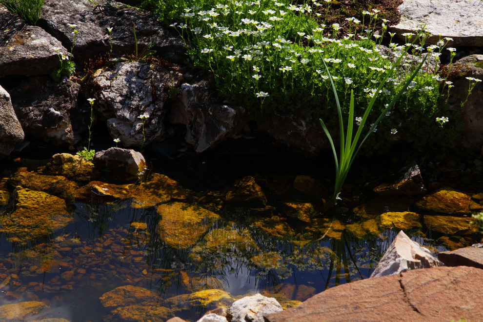 Ландшафтный дизайн