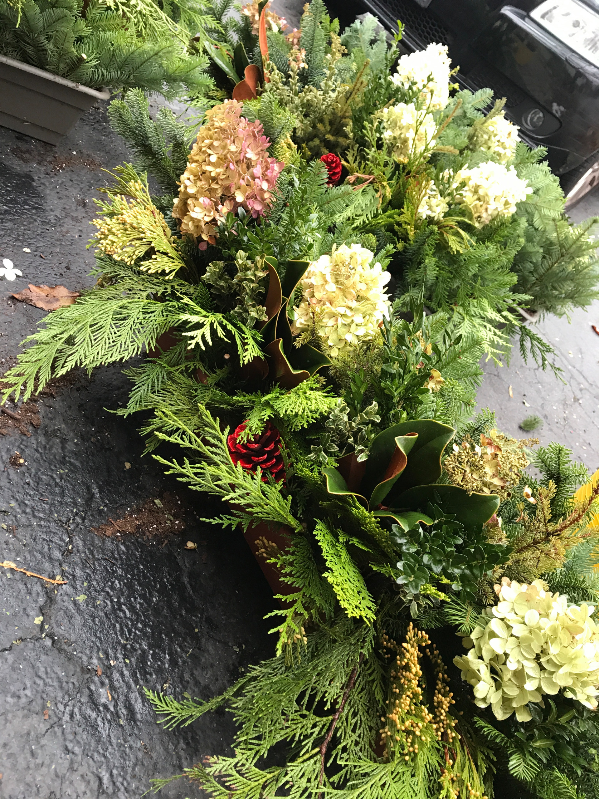 Winter containers and Holiday Decorations