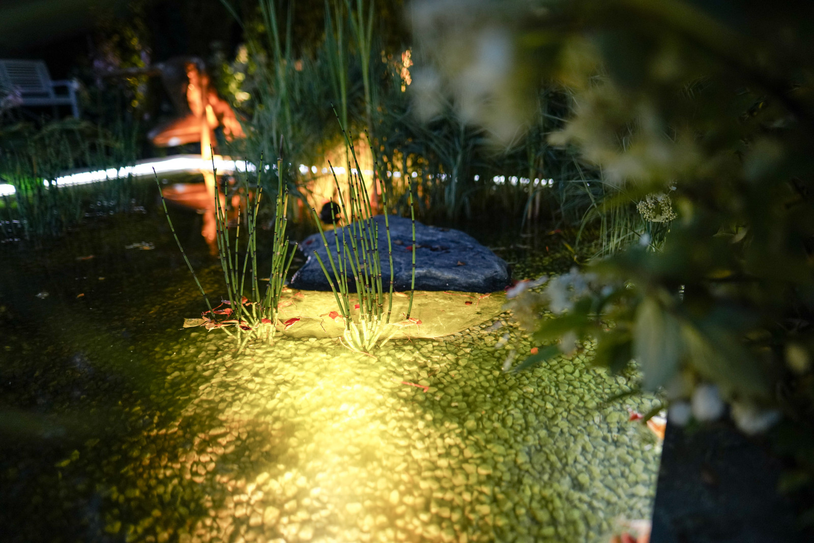 Выставочный сад "Тайны соблазна"