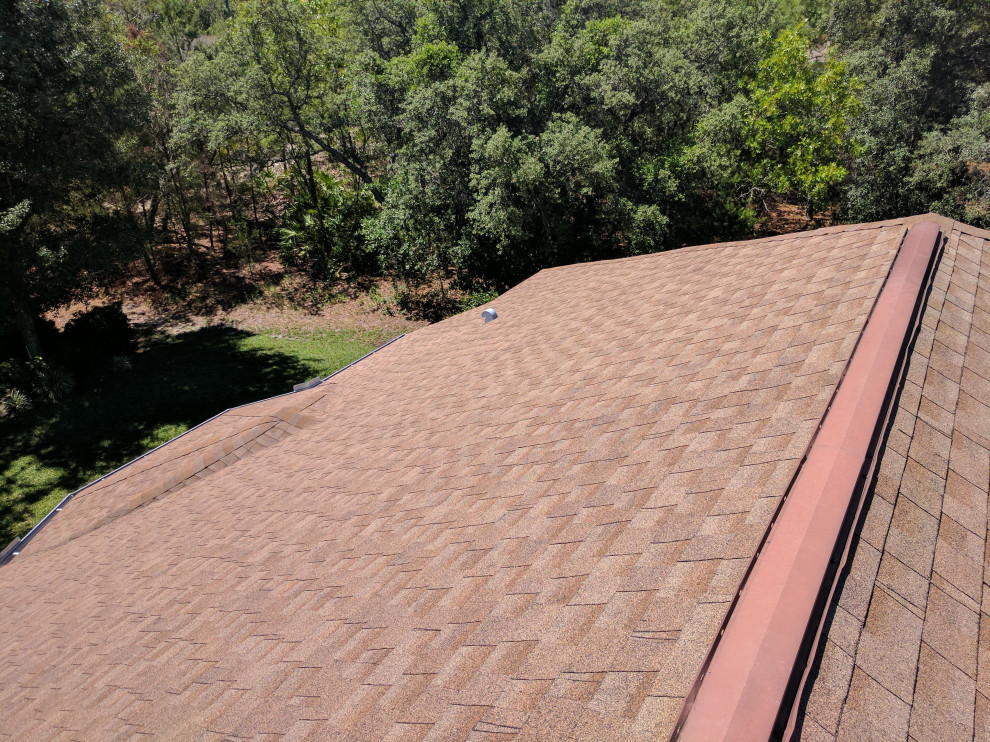 Shingle Roof