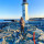 teresa_johnsonlawton