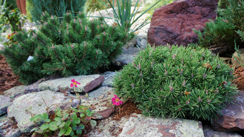 участок в Прохорово