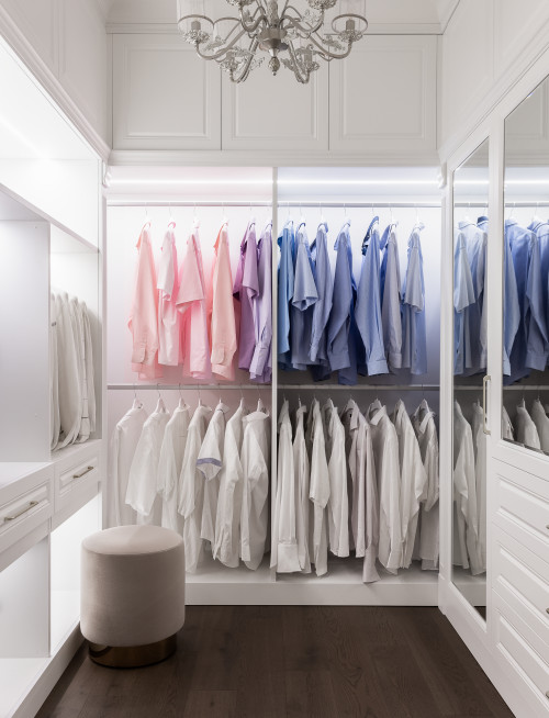 Walk Closet with Louis Vuitton Art - Transitional - Closet