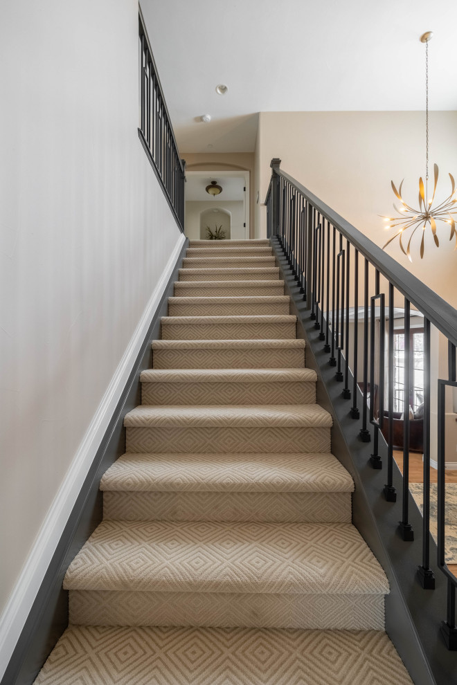 Mid-sized modern carpeted straight staircase in Denver with carpet risers and wood railing.