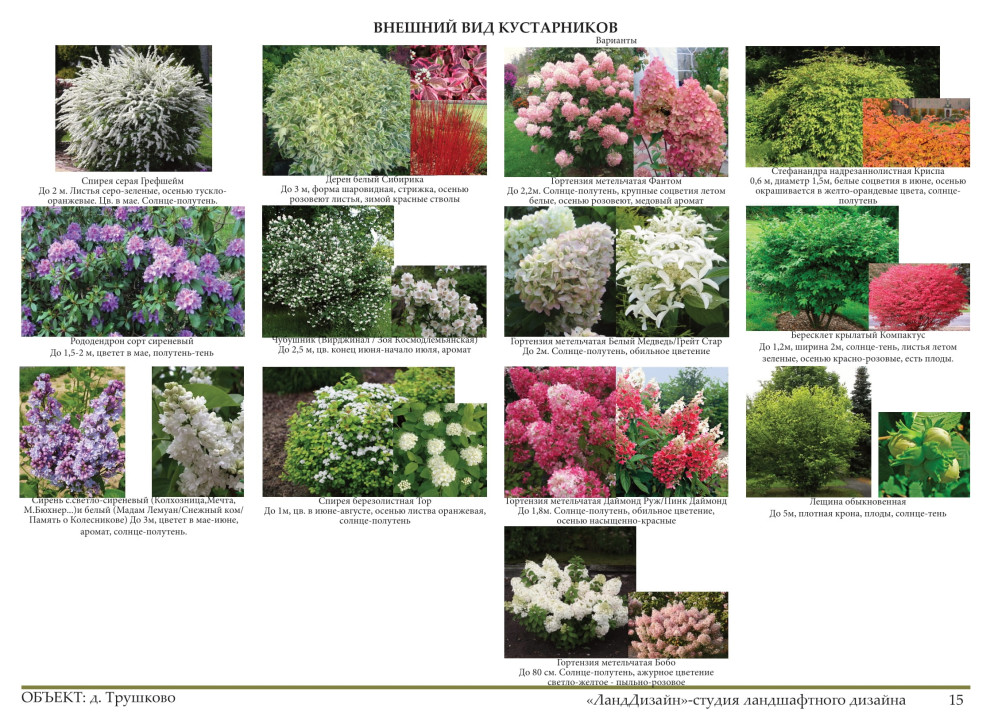 Проект ландшафтного дизайна