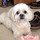 Last commented by mom2girls_2008