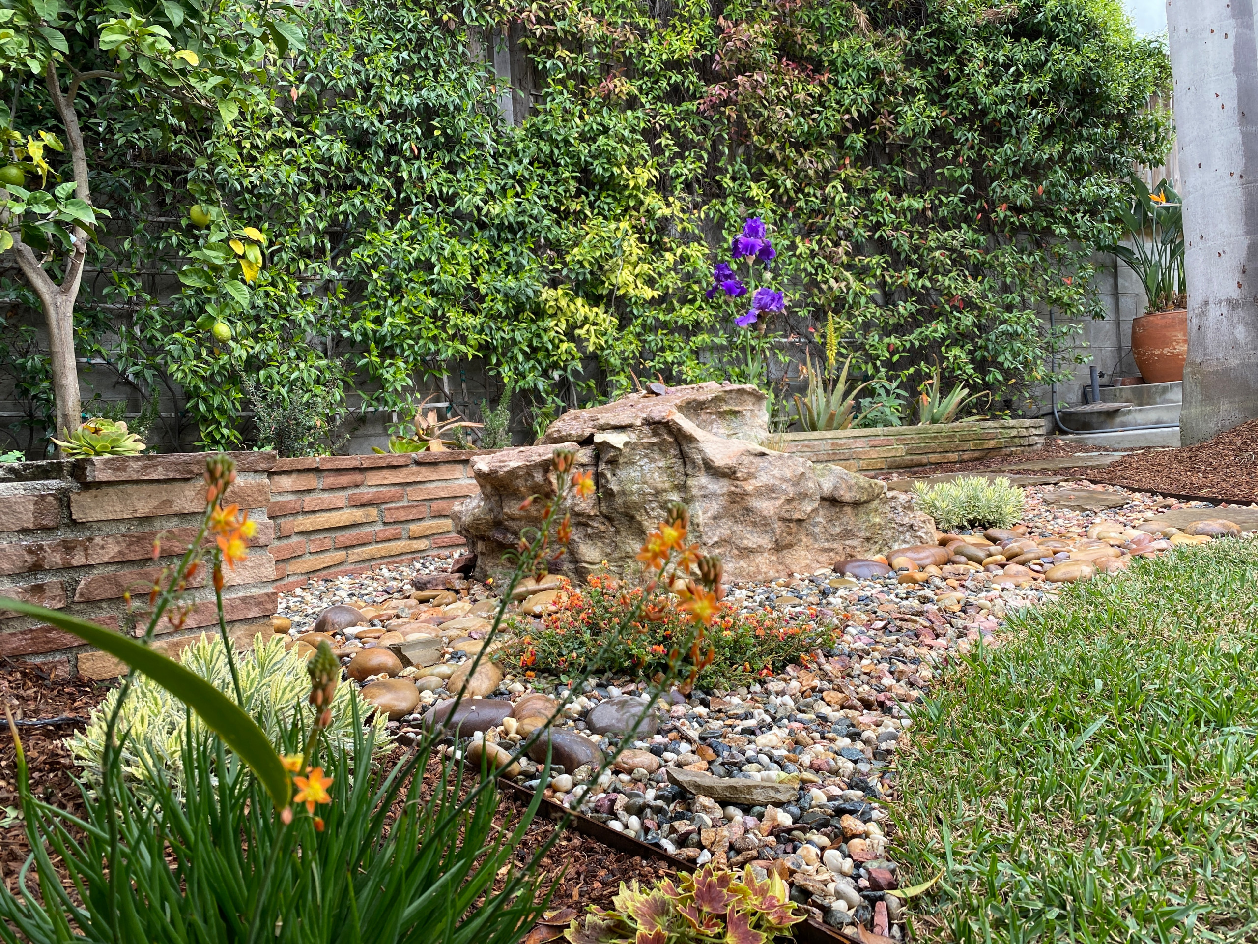 Hermosa Beach: Pollinator Garden