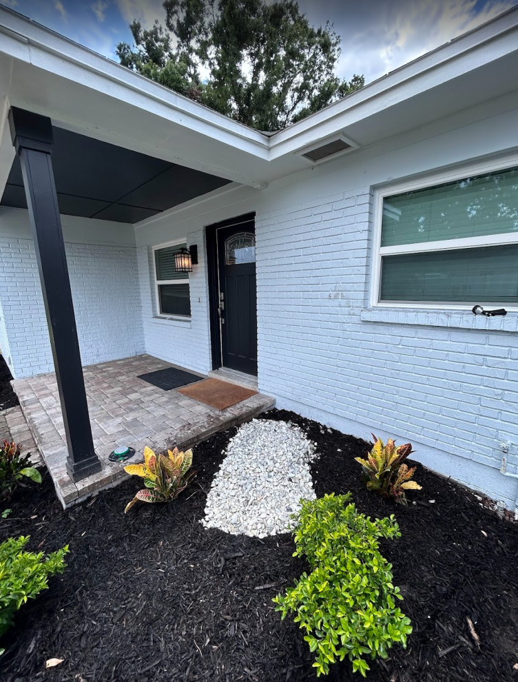 Black Mulch and New Plants