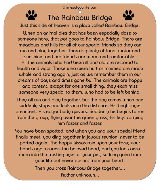 Houzz Chimes Of Your Life Wind Chimes Of Your Life Dog Rainbow Bridge Poem Pet Memorial Wind Chime 27