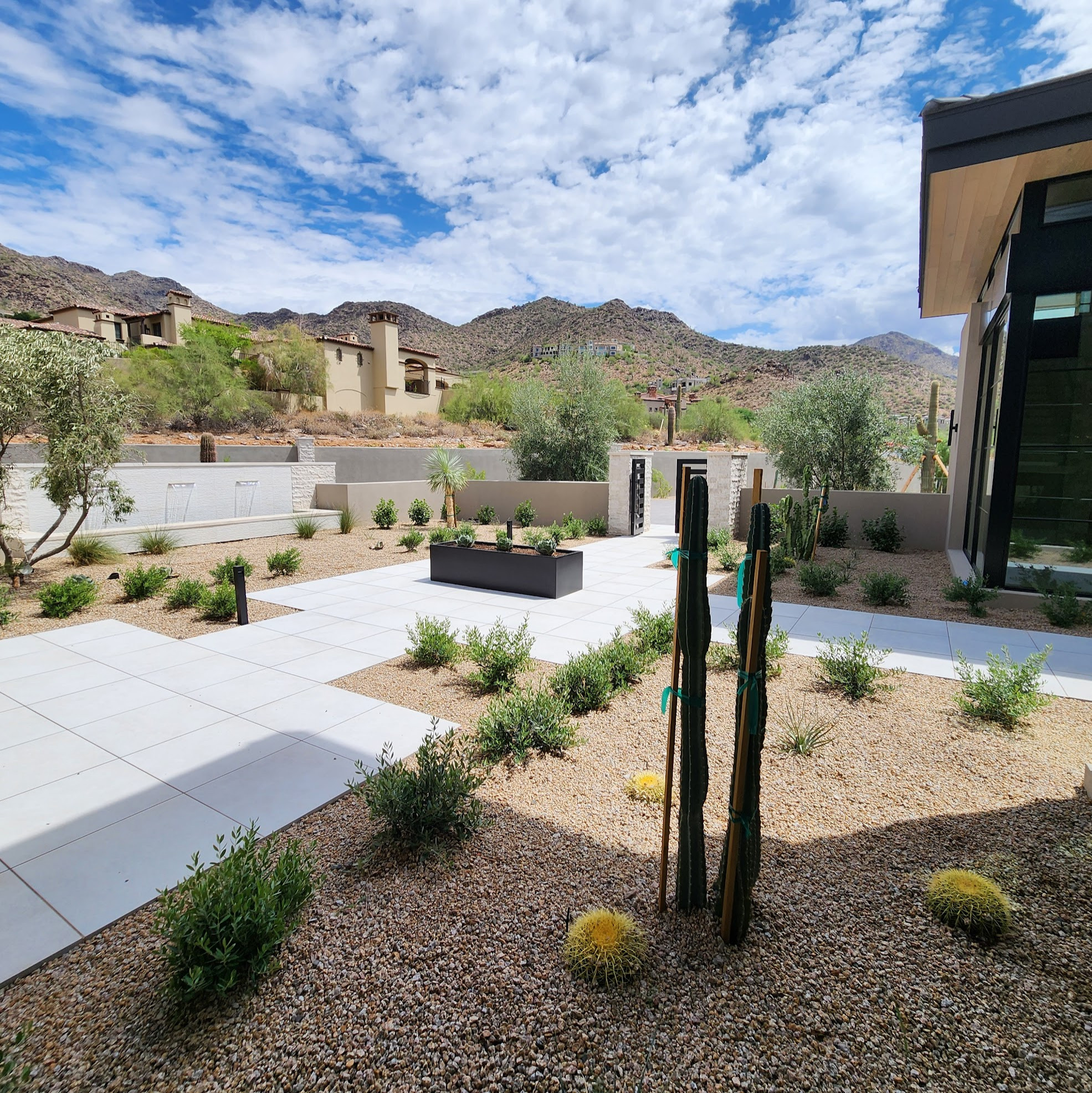 Silverleaf III