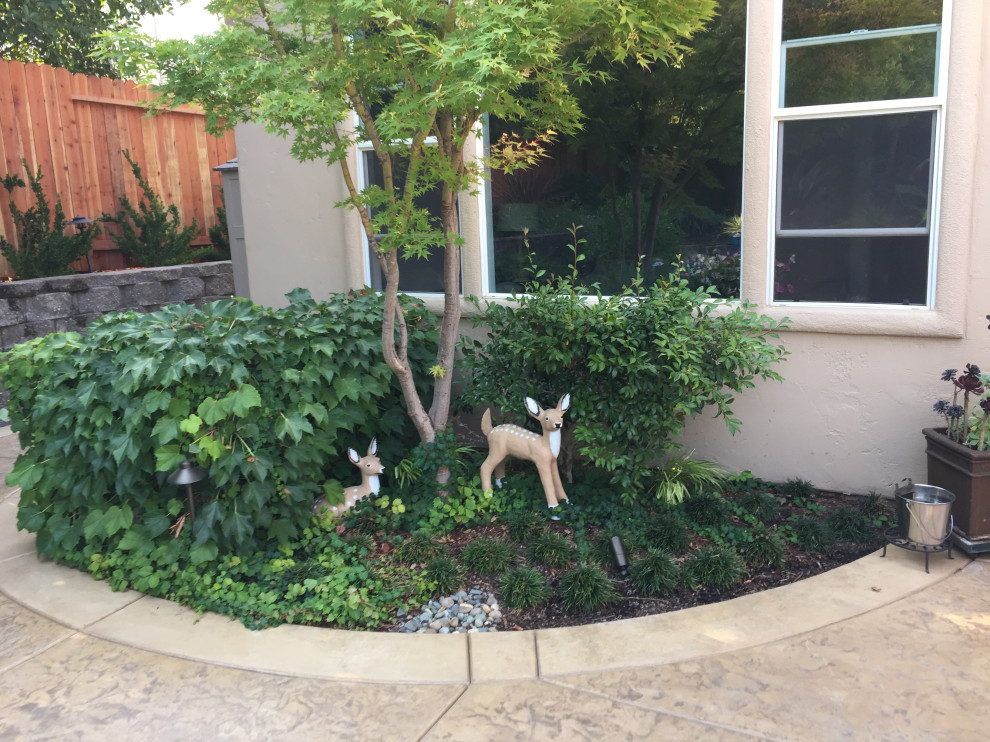 Photo of a mediterranean back xeriscape full sun garden for summer in Sacramento with a rockery and natural stone paving.