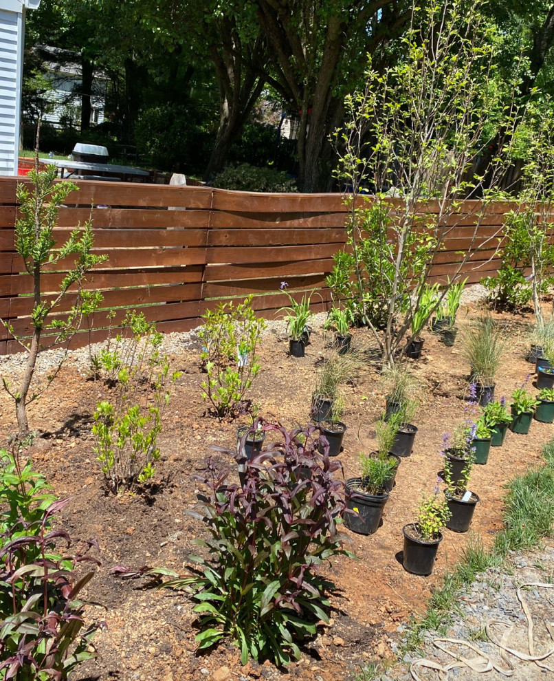 Love Your Garden