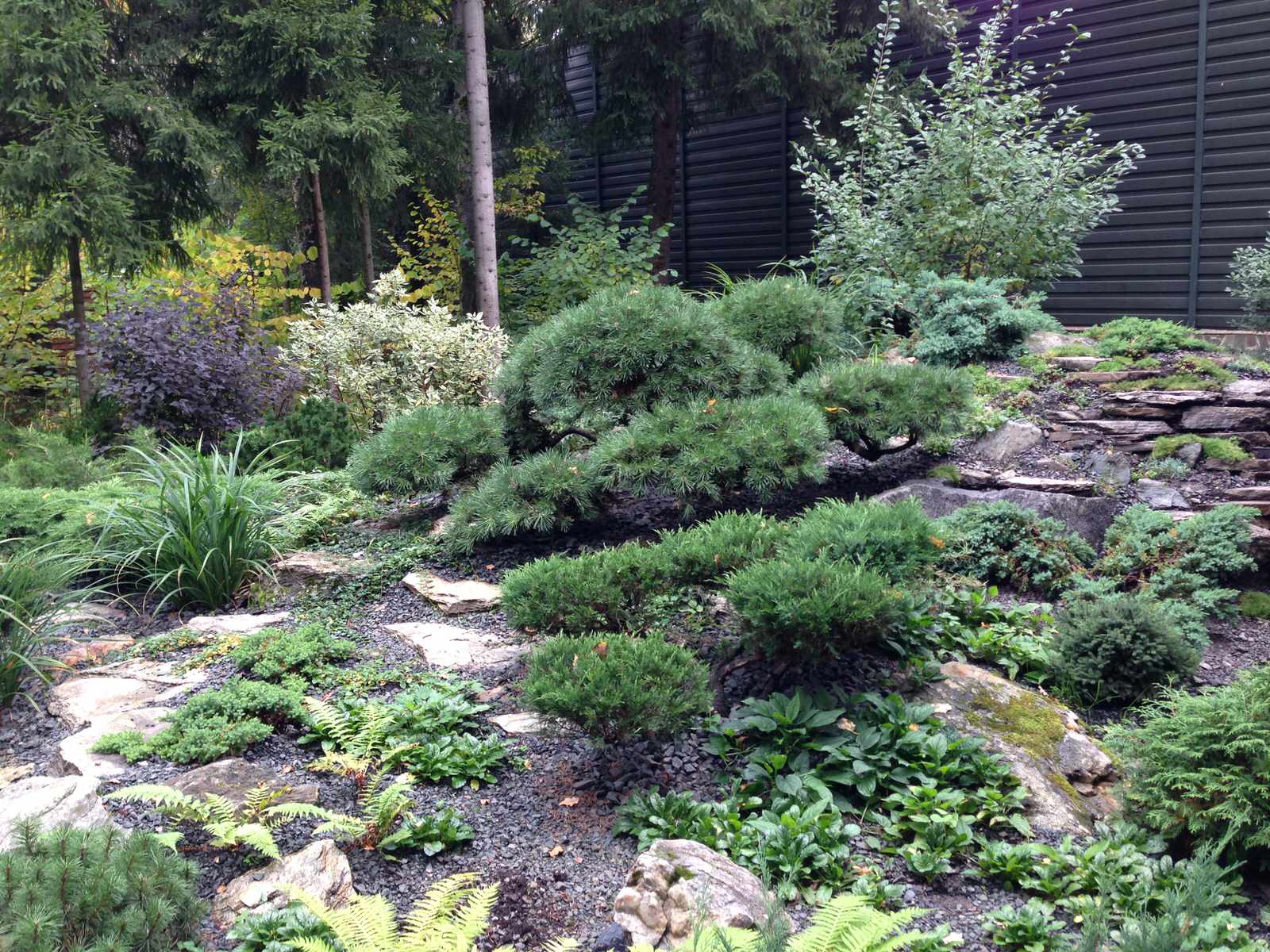 Успенское шоссе РИИТА