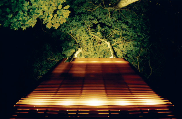 4Treehouse contemporary-fasad
