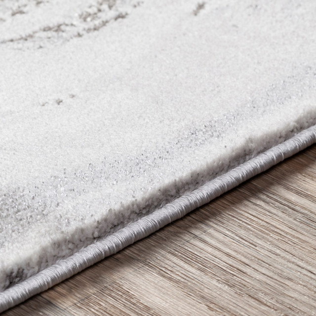 Anissa Area Rug, 5'3