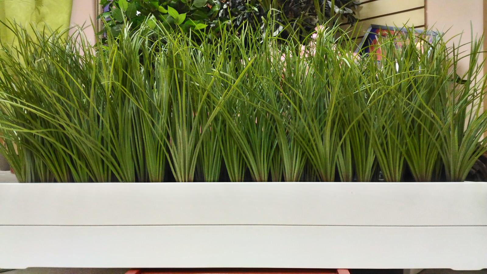 Фитодизайн для частного клиента