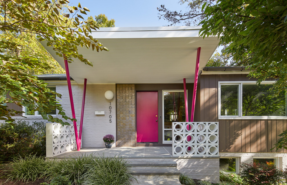 Inspiration for a mid-century modern front door remodel in DC Metro