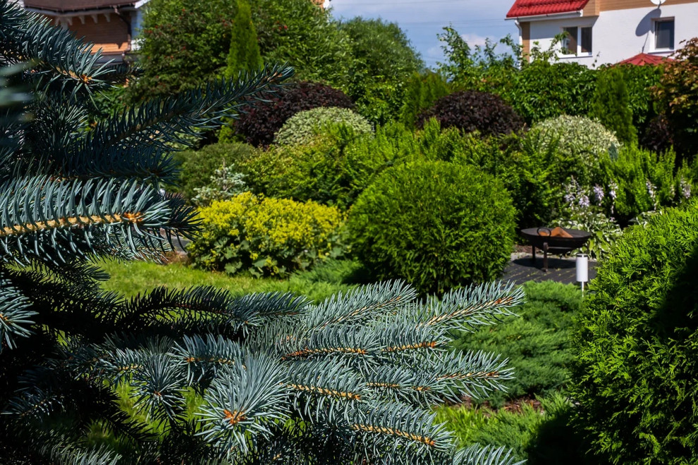 Новосаратовка