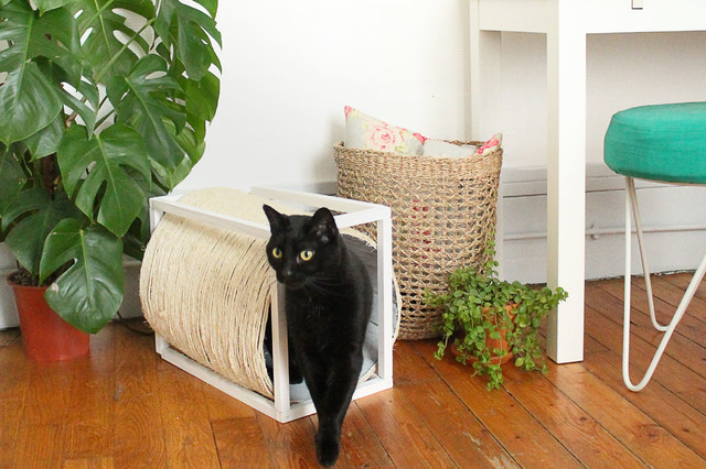DIY : Une cabane pour chat avec griffoir