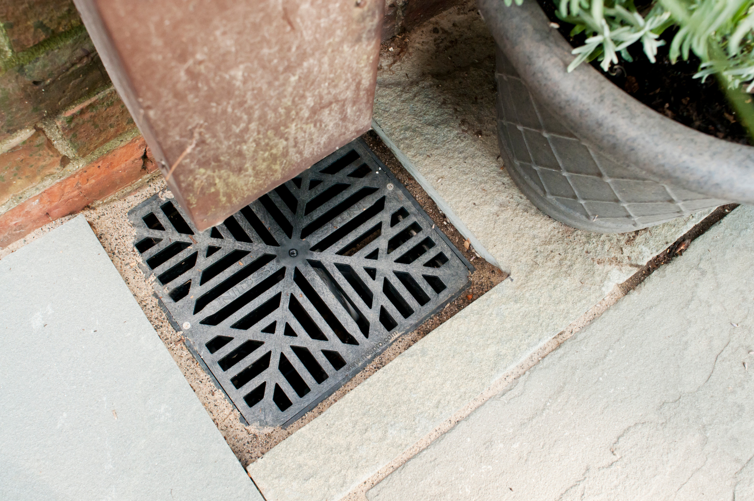 An attractive drain grate for the downspout