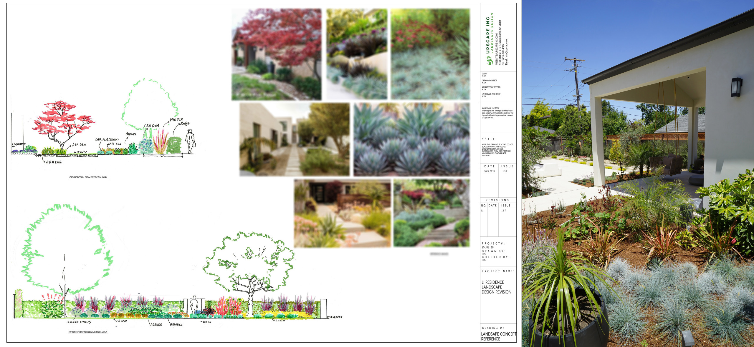 Planting Studies