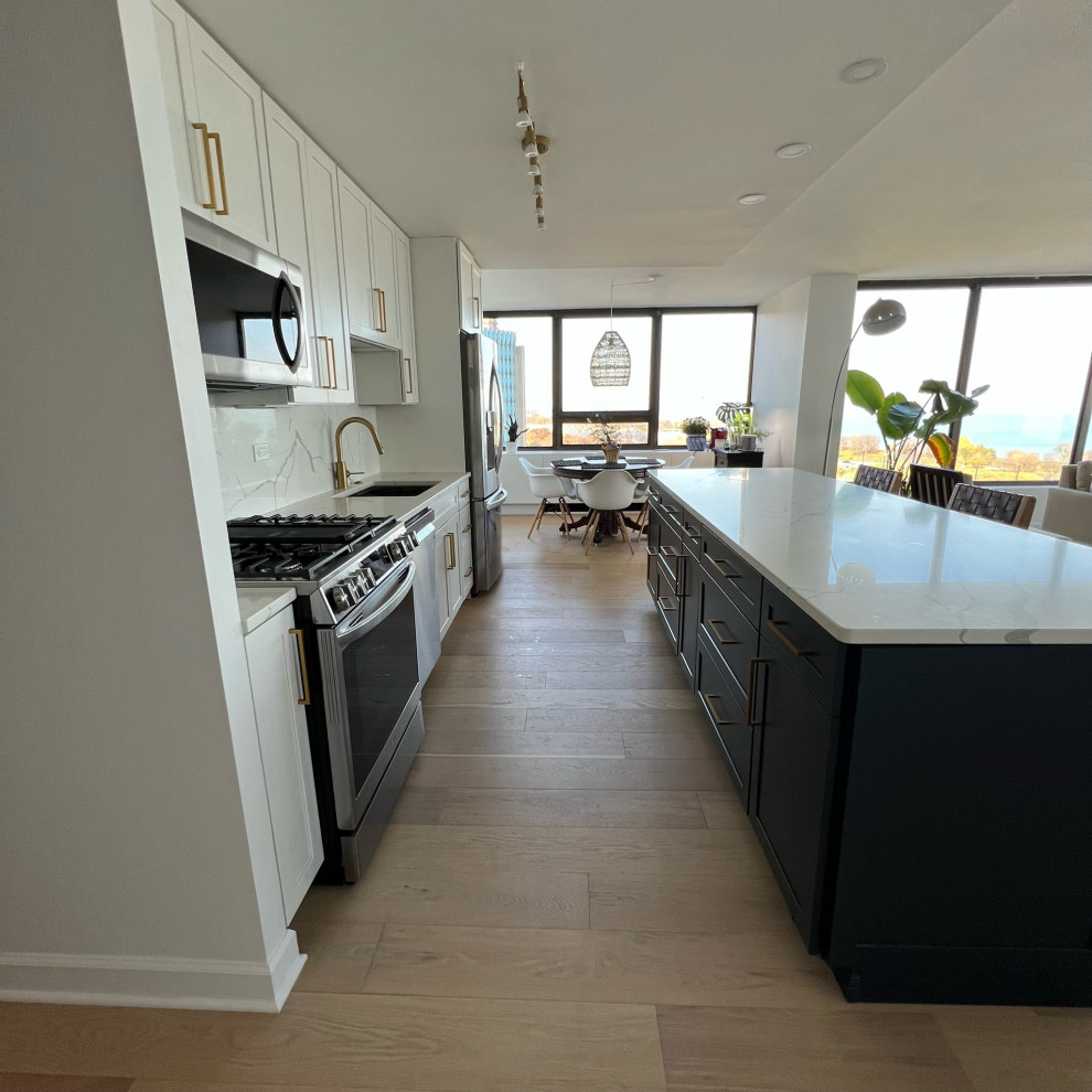 Example of a transitional kitchen design in Chicago