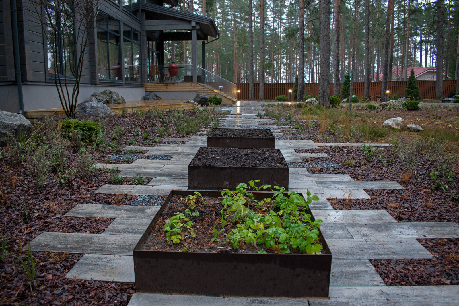 Проект "Волшебное озеро"