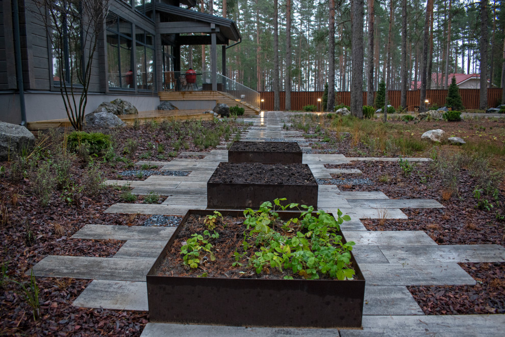 Проект "Волшебное озеро"