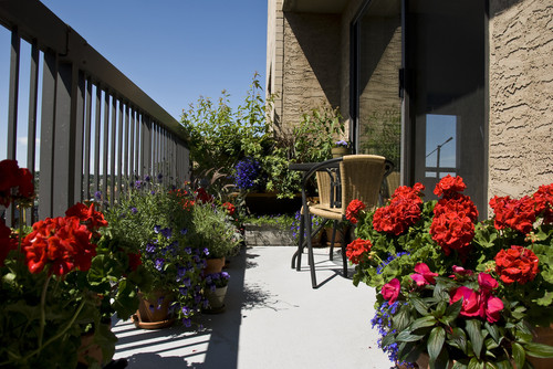 Small Gardens