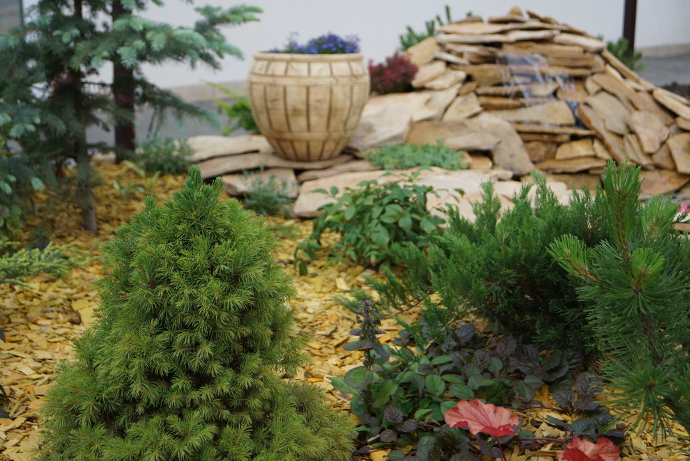 Садовый пруд в африканском стиле