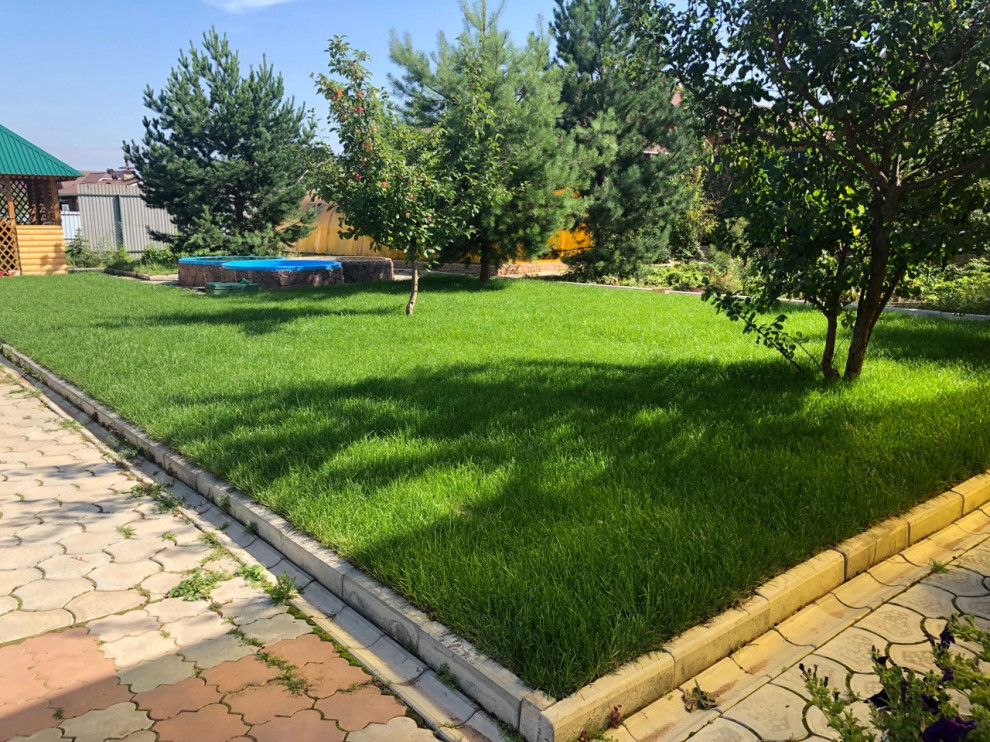 Устройство рулонного газона