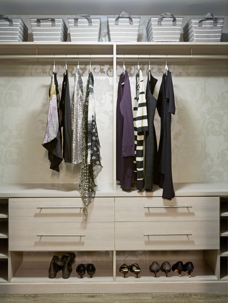 Inspiration for a small modern women's walk-in wardrobe in Los Angeles with flat-panel cabinets, light wood cabinets and light hardwood floors.