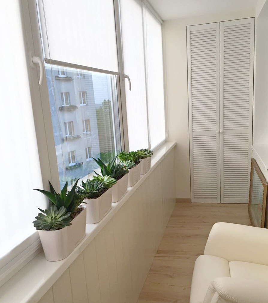 Озеленение частных квартир