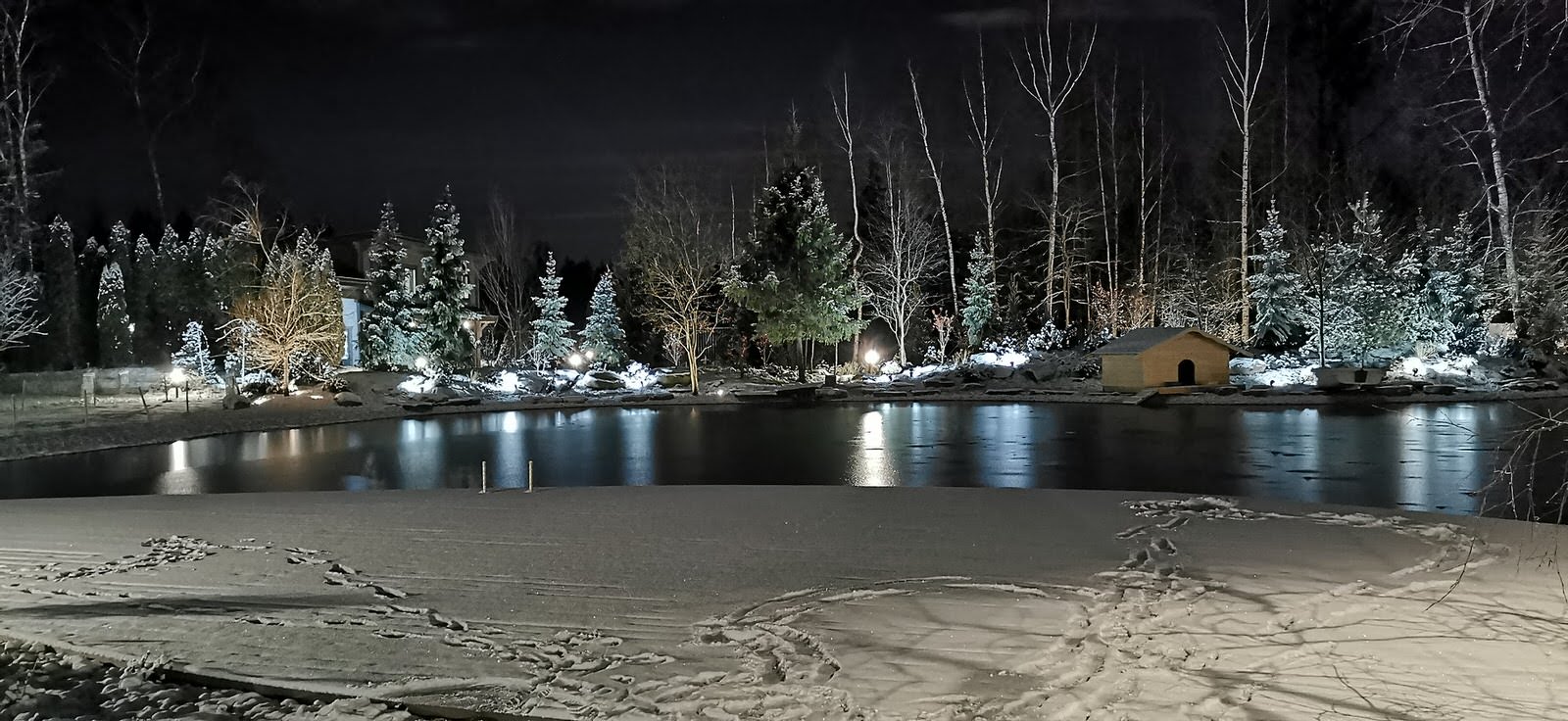 Лесное озеро