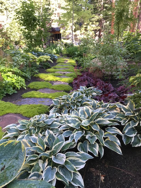 Lake Tahoe Landscape Designs