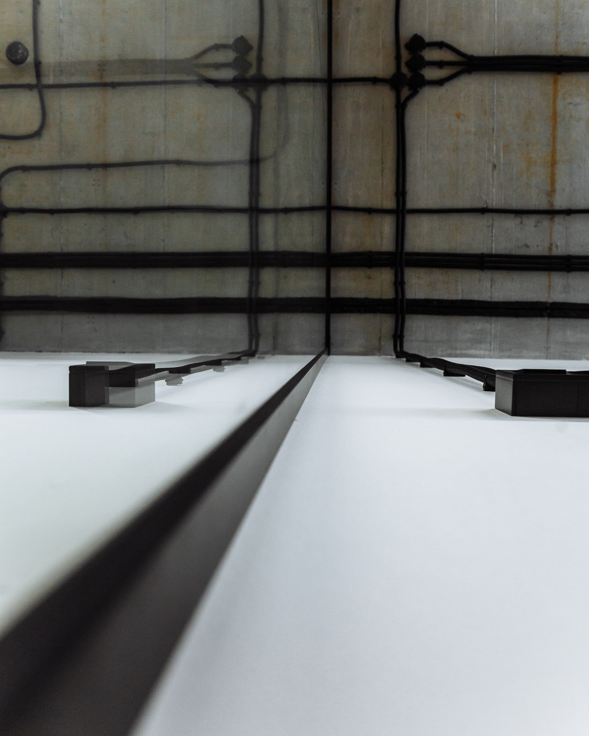 Build project. Office it company