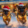 Big Dog Christmas Lights