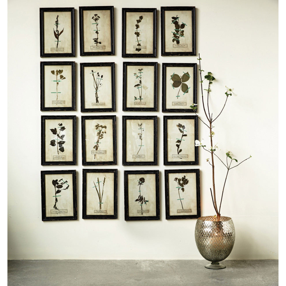 Wood Framed Wall Plaques With Dried Flower Images Contemporary