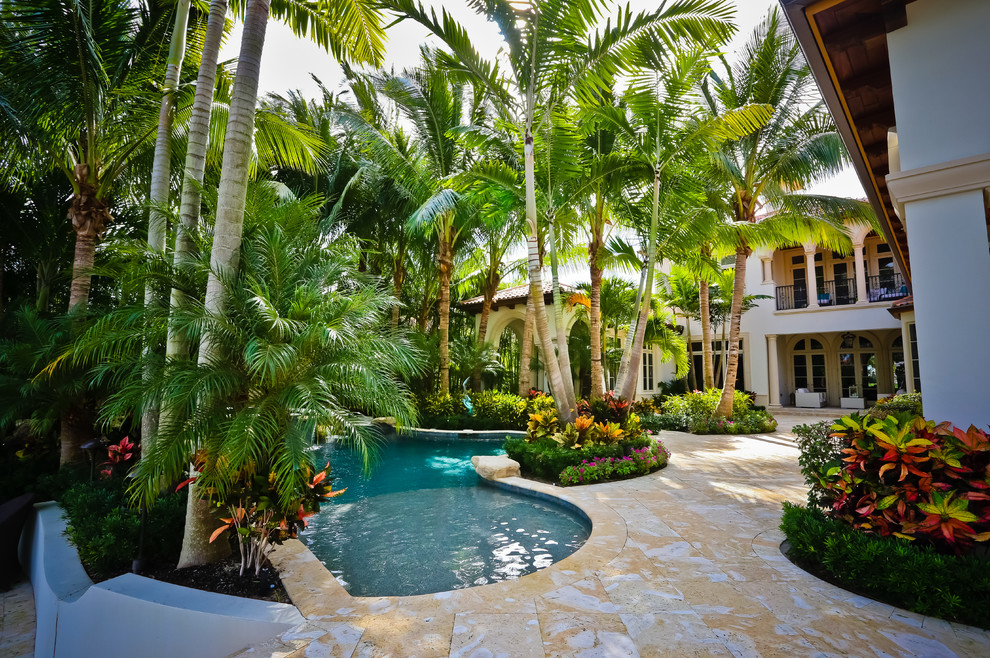 Lush Tropical Pool and Landscape Tropical Patio Miami by Tony
