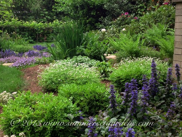 Front yard perennial garden design - Traditional - Landscape - Newark