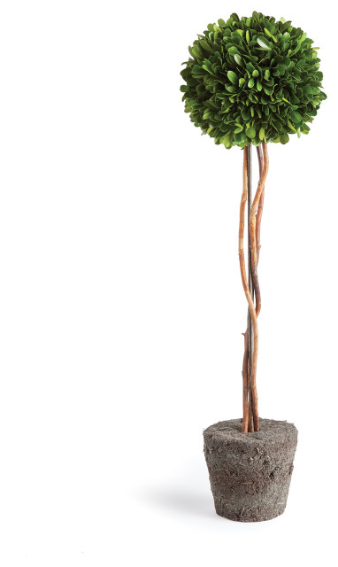 Boxwood Single Sphere Topiary Drop-In, 24"