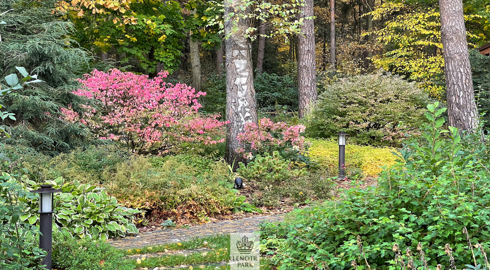 Заповедный бор